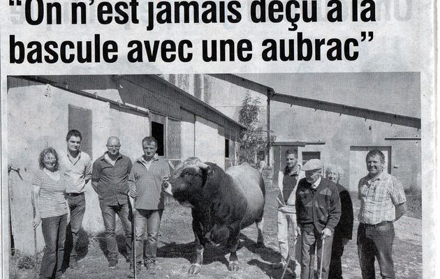 Concours départemental Aubrac 2015