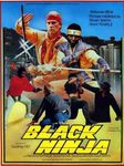 [cinéma] Escale à Nanarland n°24 : "Black Ninja"