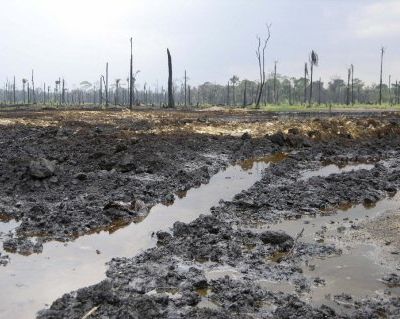 Le véritable coût du pétrole