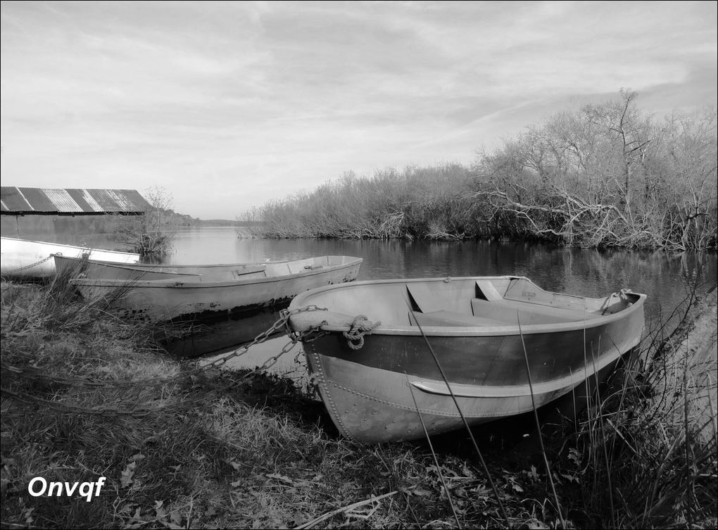 Etang de Mimizan  / Etang d'Aureilhan (Landes 40) AA Promenade