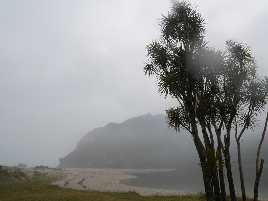 Karamea (Heaphy Track et Oparara Basin)