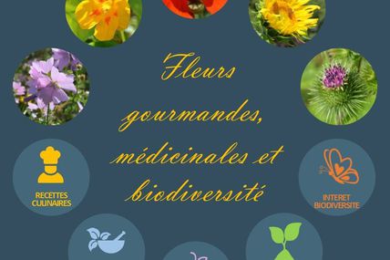 Fleurissons 2019 : fleurs gourmandes, santé et biodiversité & semences de la microferme Renai Cense 