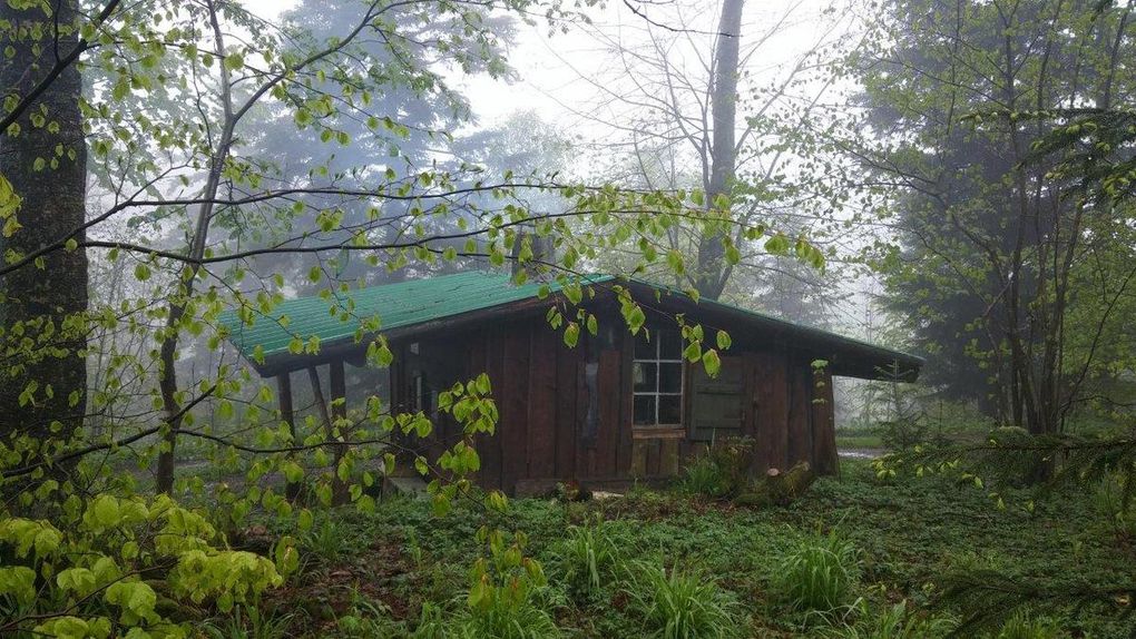 La cabane, par Sylvain Tesson