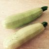 Risotto aux courgettes 