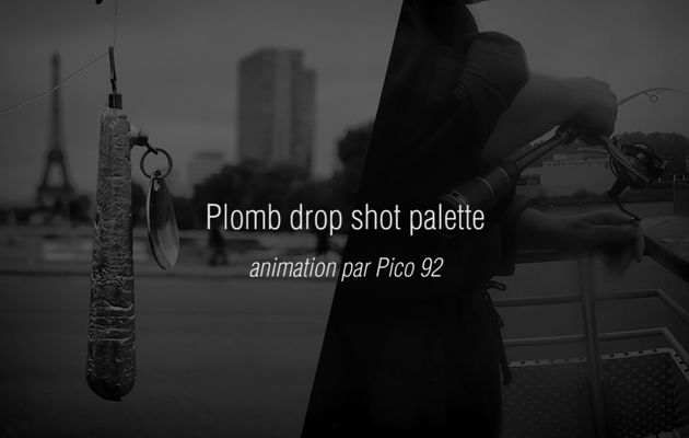 Animation et vue subaquatique du plomb drop à palette