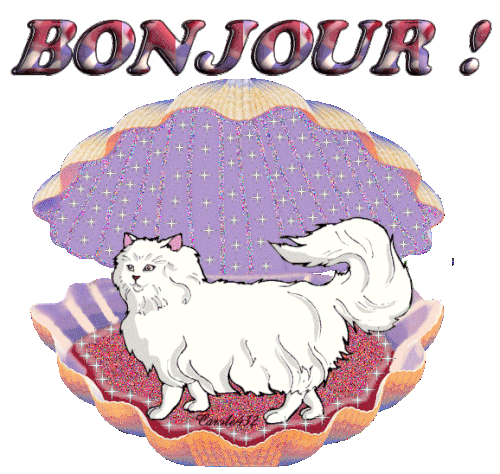 Gifs Coquillages Le Monde Des Gifs