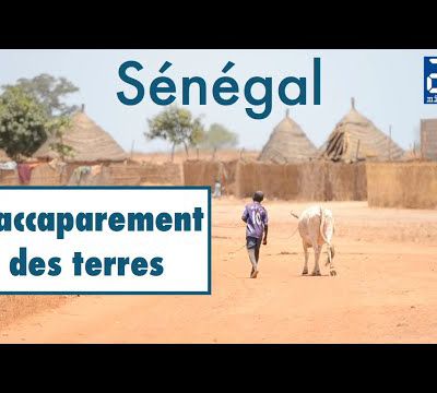 Au Sénégal, le problème de l'accaparement des terres 