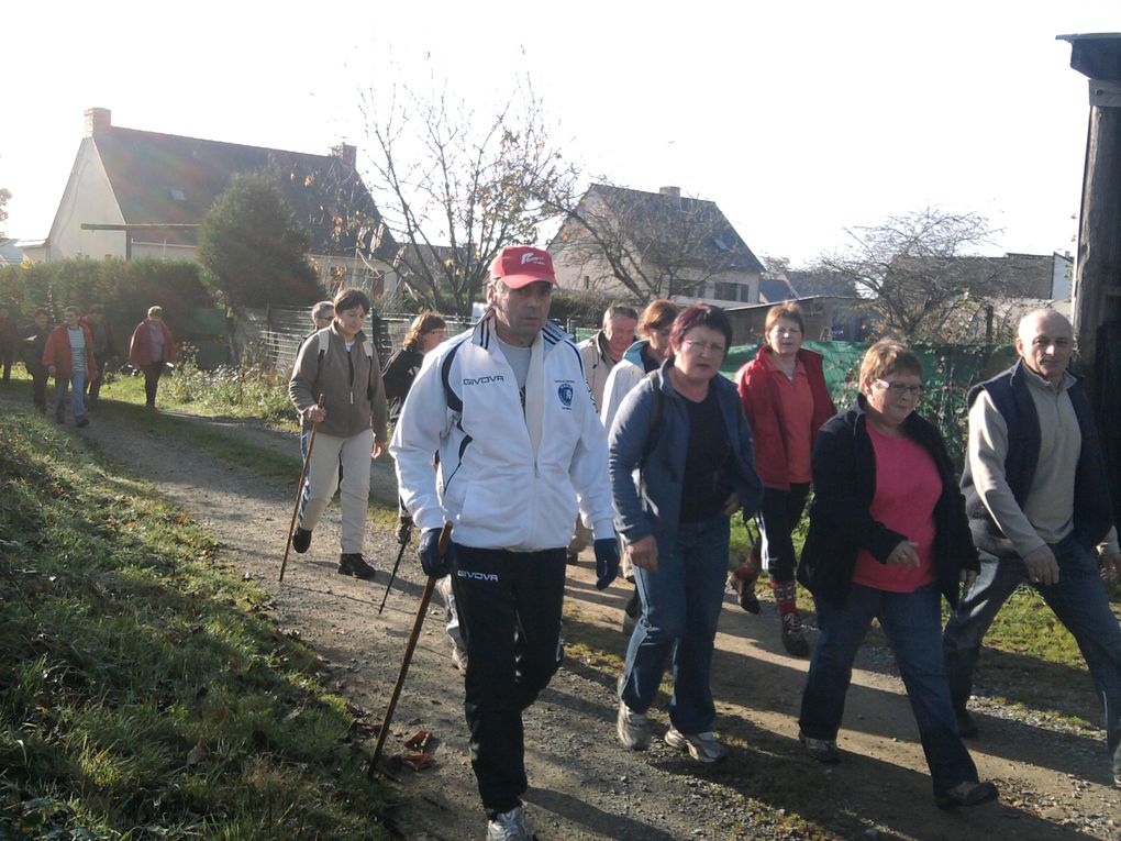 téléthon  2011