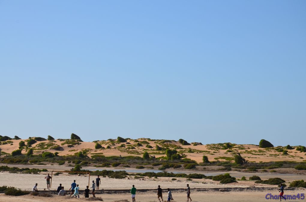 RR301 De El Jadida à Oualidia, (Maroc en camping-car)