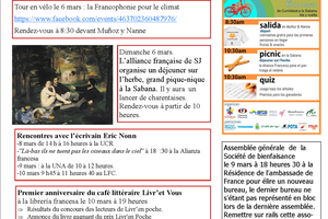 Bulletin numéro 20