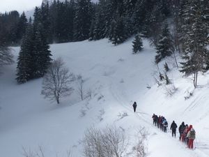 Journée Raquettes à Lans en Vercors