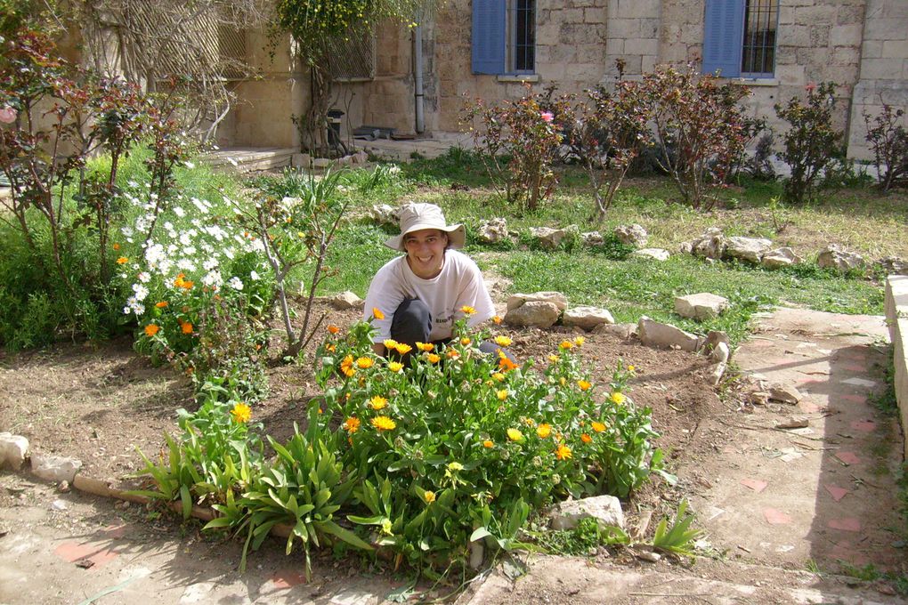 Le mont Tabor, Nazareth, Abbu Gosh, les amis, les visages, la vie chez les clarisse...découvrez les images qui sont notre quotidien!