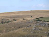 Septembre sur le causse Mejean