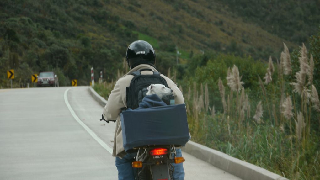 La moitié du monde, Quito, Cuenca, l'Amazonie, les communautés indiennes, les routes défoncées, l'accueil en famille, mille et une choses à relater... souvenirs, souvenirs...