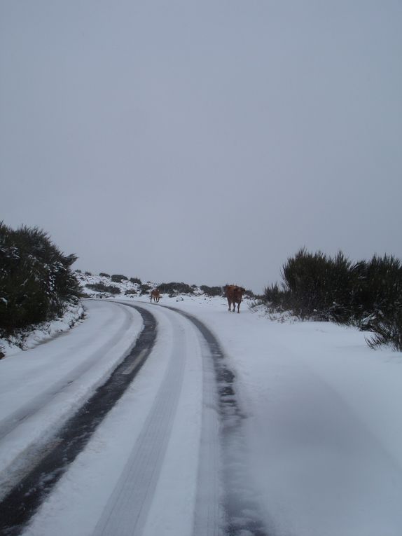 Neige à Madère en Mars 2011 - Episode rare sur cette île.