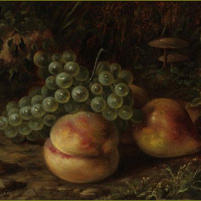 Fruits d'été par les peintres - Arnoud Wydeveld (1823-1888) nature morte aux fruits et raisin