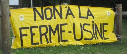 En Gironde, la colère monte contre une ferme-usine de 12 000 porcs