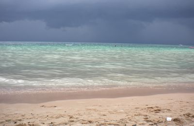 Koh Tao