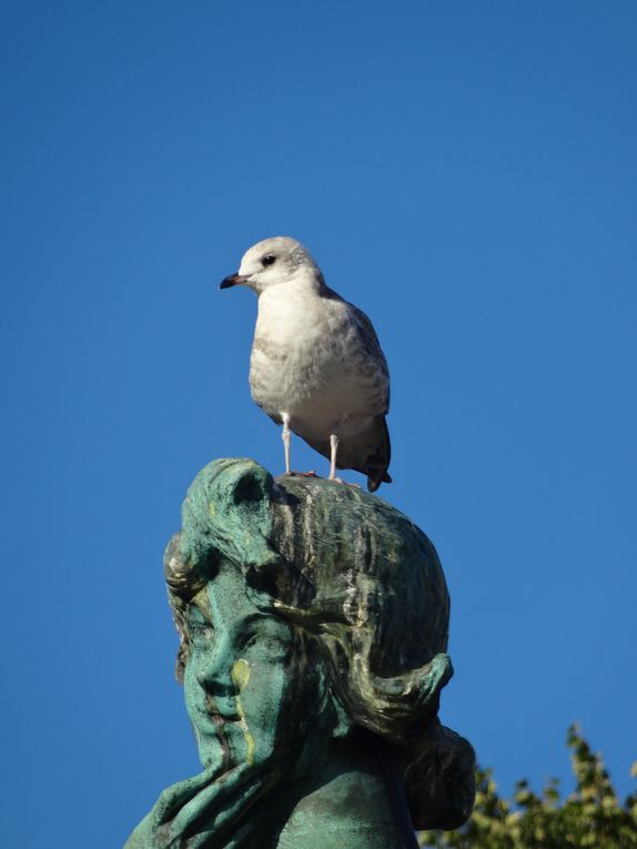 Journée à Helsinki