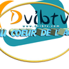 DVIBtv