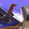 Skate It confirmé sur Wii et DS