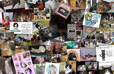 la fete des chats de blogueuse 2