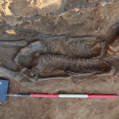 Italie : Découverte d'une sépulture étrusque de plus de 2 600 ans