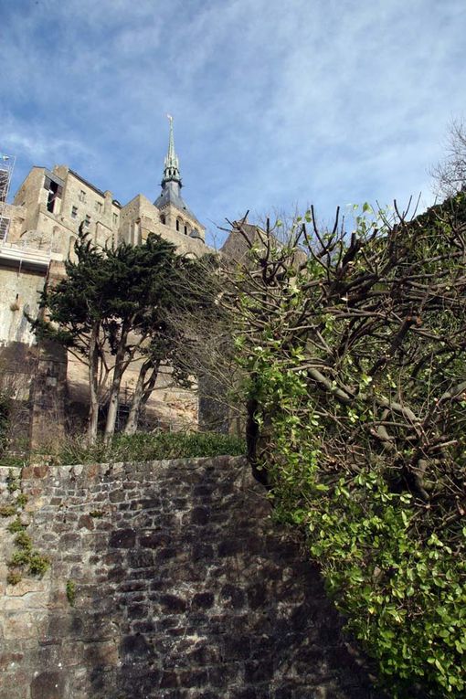 Le Mont-Saint-Michel - Photos Thierry Weber Photographe La Baule Guérande