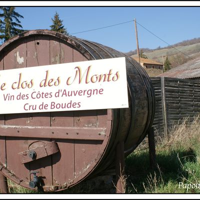 Les vins d'Auvergne:  Boudes