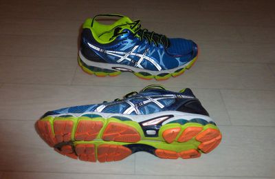 Test asics gel nimbus 16 expert