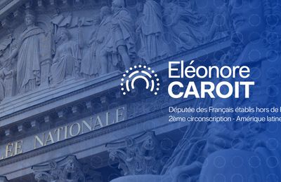 Un an de mandat: bilan d'Eléonore Caroit députée pour la deuxième circonscription des Français de l'étranger