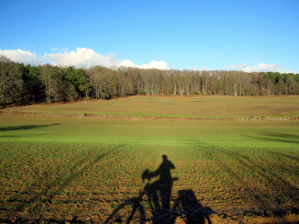 balades en vélo