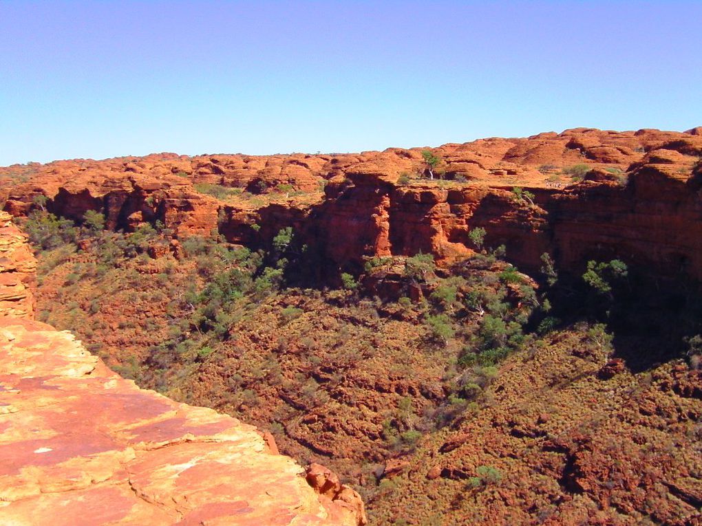 Album - The-Ultimate-Oz-Experience-2--Outback--The-Olgas---Ayers-Rock---Kings Canyon