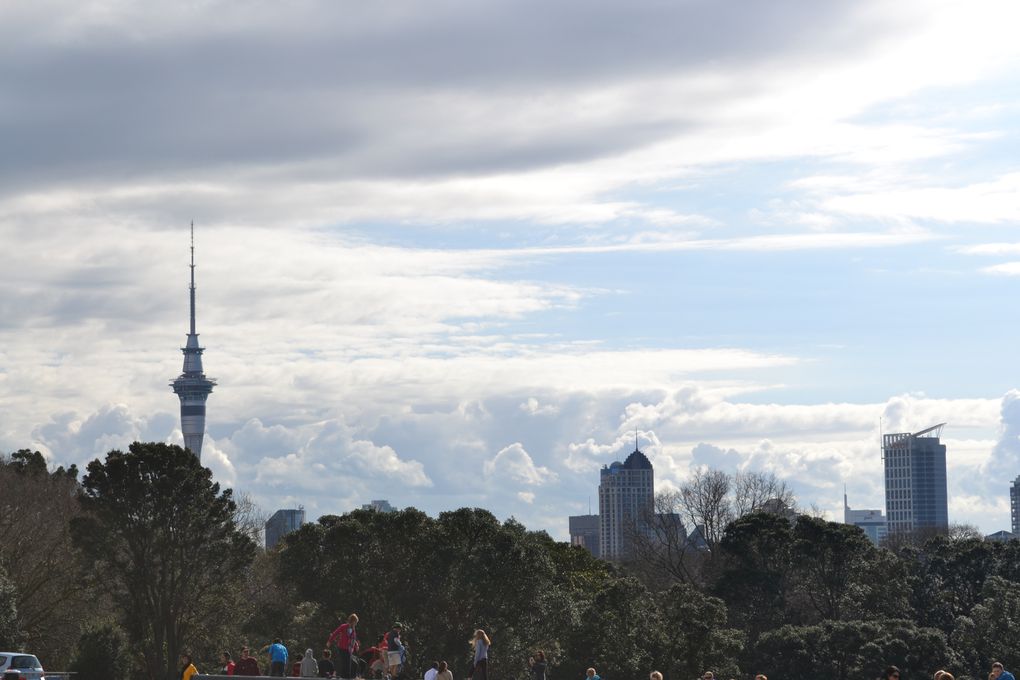 Album - Auckland-Domain