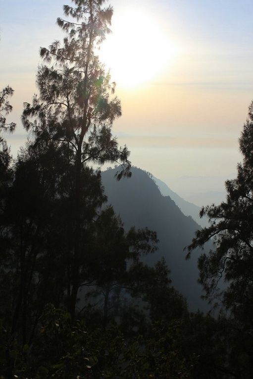 THE BROMO VOLCANO