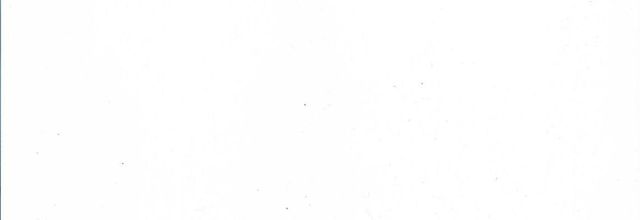 Liste des candidats du 2nd tour à Dame Marie