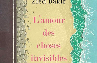 L’amour des choses invisibles, Zied Bakir (par Catherine Dutigny)