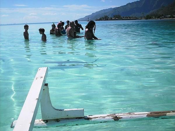  Trois jours sur Moorea, détente aux Tipaniers, plongées et randonnée. 