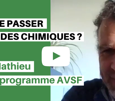 Connaissez-vous les alternatives aux pesticides ?