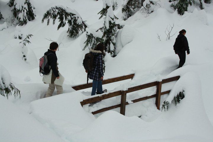 Album - Snowshoeing au Mont Seymour