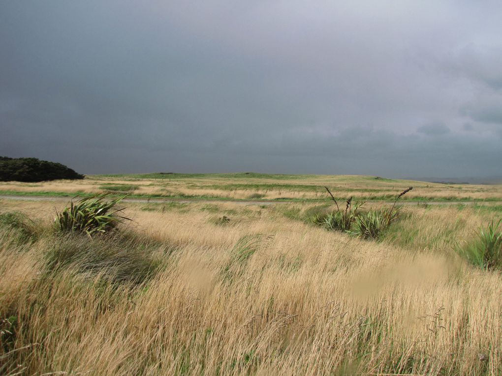 Album - NZ-LES-CATLINS