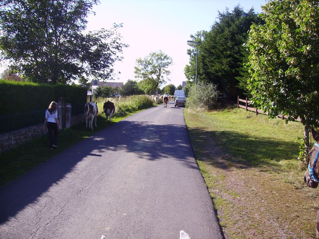 Randonnée et Championnat de France d'Endurance des Jeunes 2010