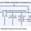 Critères de notation des absinthes