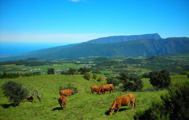 Sur la route du Volcan avec Elodie