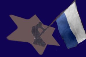 Żydowski Związek Wojskowy (ŻZW)