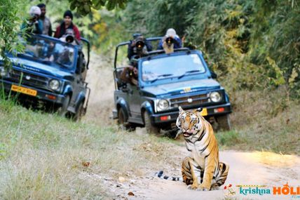 Wildlife Safari in Uttarakhand