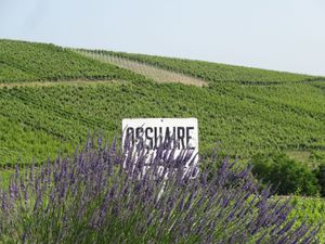 Première halte à la chapelle St Sébastien au-dessus de Dambach.