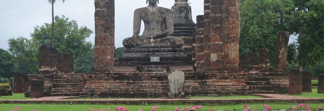 Lotus in Sukhothai