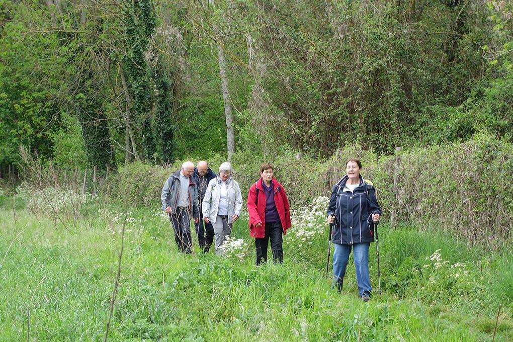 Randonnée de Saclas du 09 05 2021