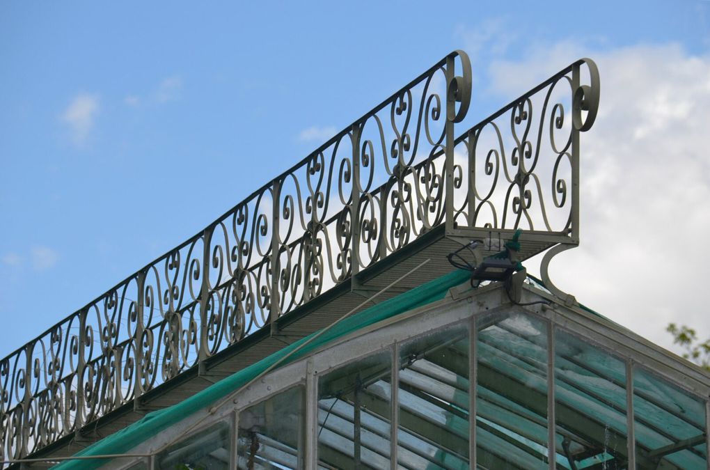 Le jardin botanique universitaire de Talence (Gironde) : Une collection exceptionnelle 